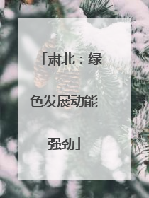 肃北：绿色发展动能强劲